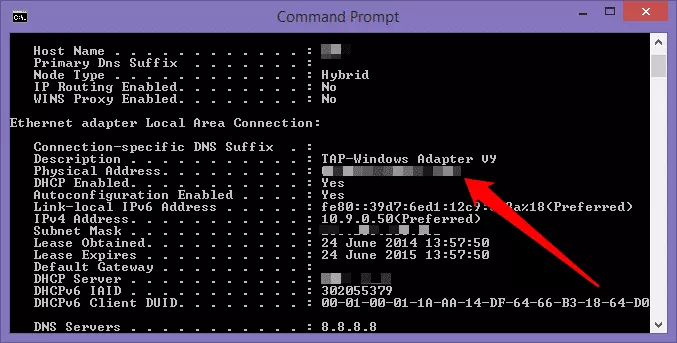 using command line prompt to establish VPN IP address