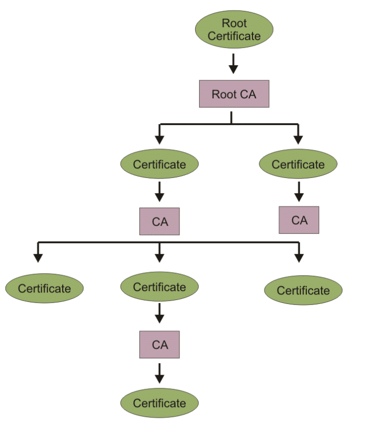 What is a Root Certificate What #39 s Used For? ProPrivacy com