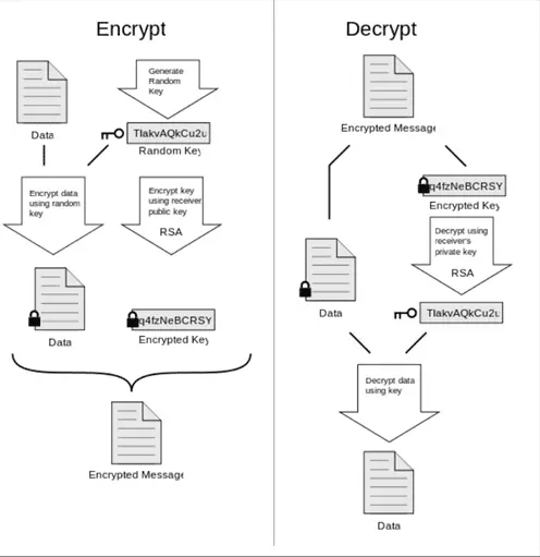 Pgp Diagram Smaller