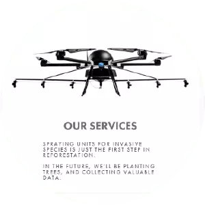DroneSeed