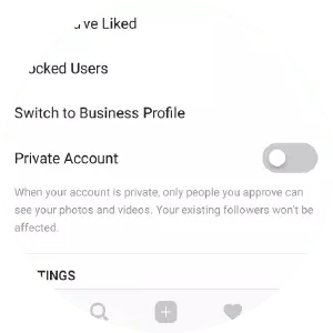 Instagram Private Account