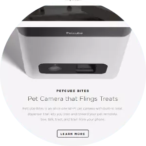 Petcube