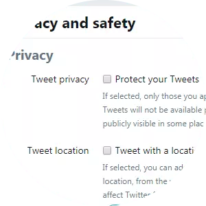 Tweet Privacy
