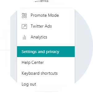 Twitter Privacy Settings