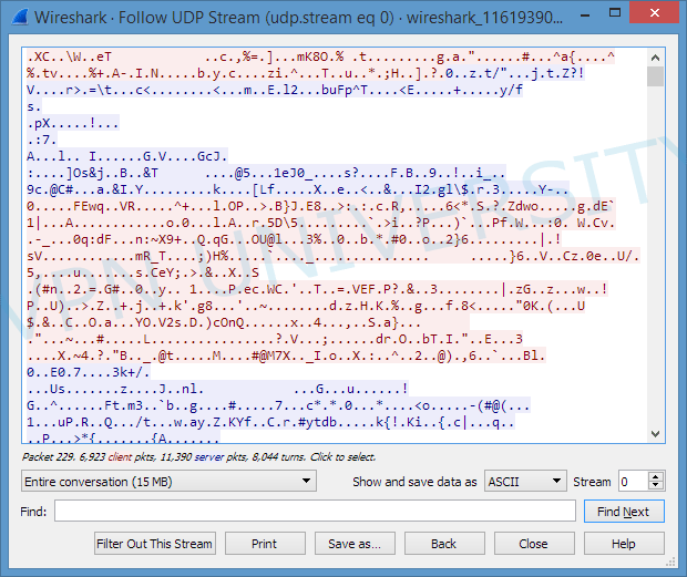 How to Use Wireshark VPN Protocol