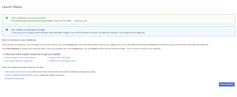 13 click on view instances