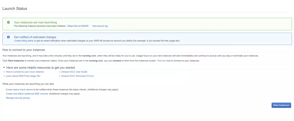 13 click on view instances