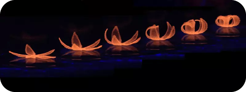 4D Shape Shifting Devices