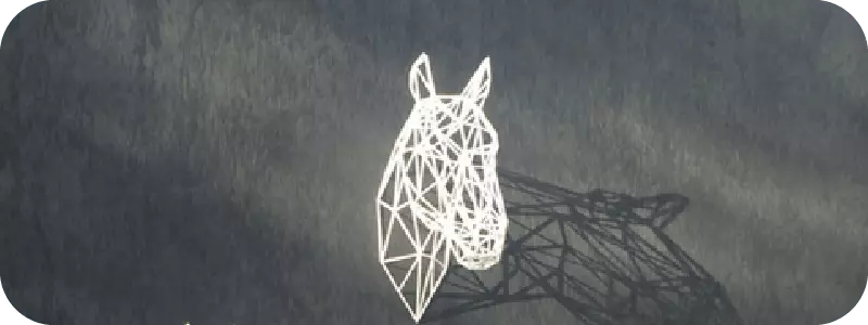 Equus