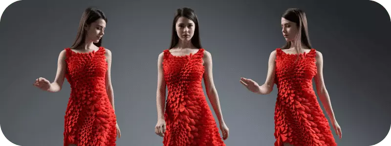 Kinematic Petal Dress