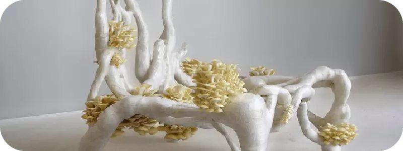 Mycelium Chair