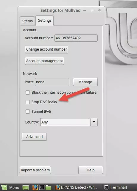 Mullvad Linux Kill Switch