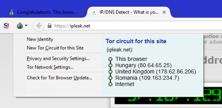 dns tor browser mega