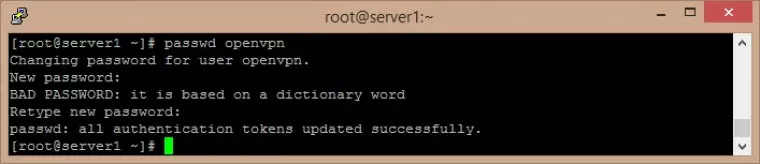 In PuTTY enter password