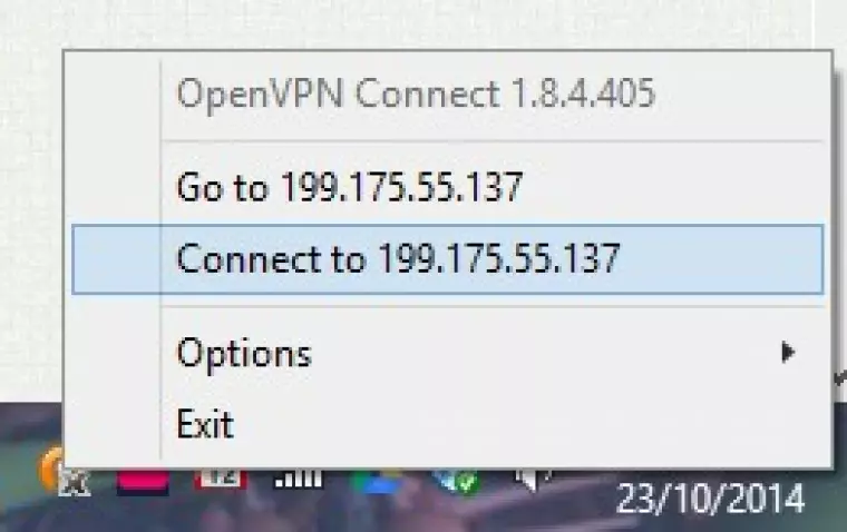 install and run openVPN