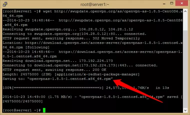 Downloading OpenVPN server access package