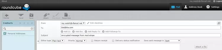 roundcube email interface