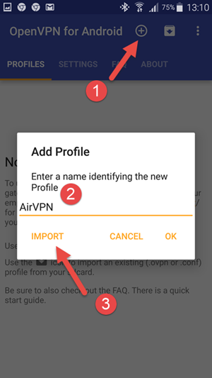 โปรไฟล์ AirVPN