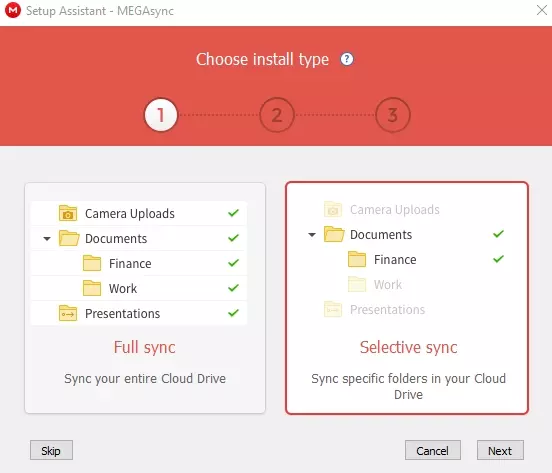 Mega Cloud choose install type