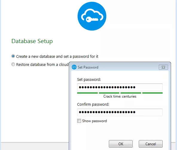 SafeInCloud database set up