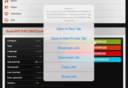 download torrent using the magnet link