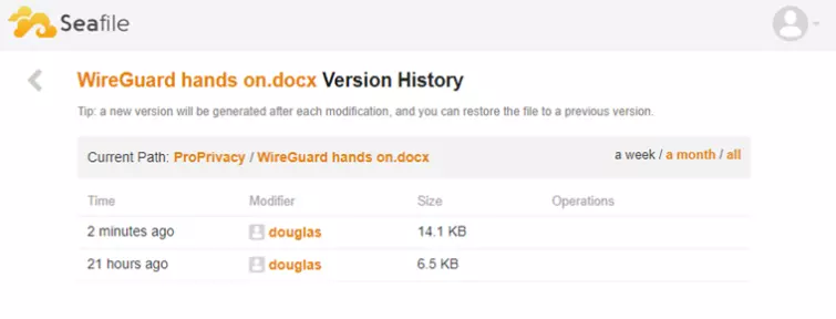 Sea file version history