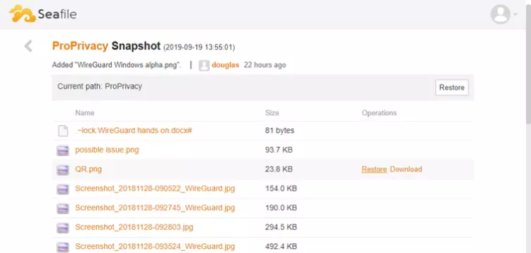 sea file snapshot of files