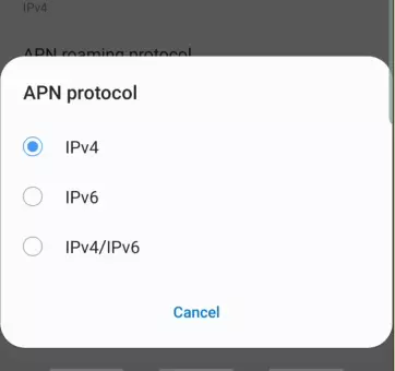 APN protocol IPv4 and IPv6 options