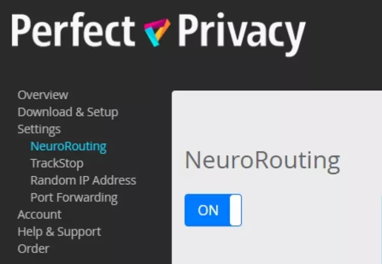 Windows client NeuroRouting settings