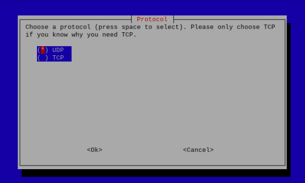 UDP and TCP protocols
