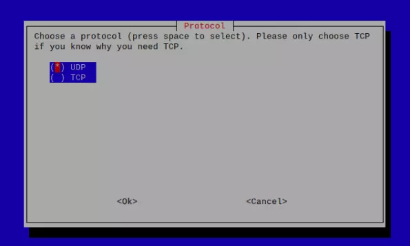 UDP and TCP protocols