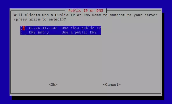 Public IP or DNS options