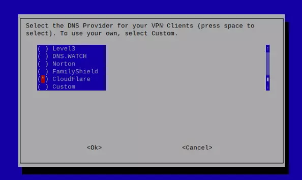 DNS provider settings