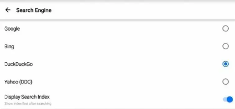 Search engine option