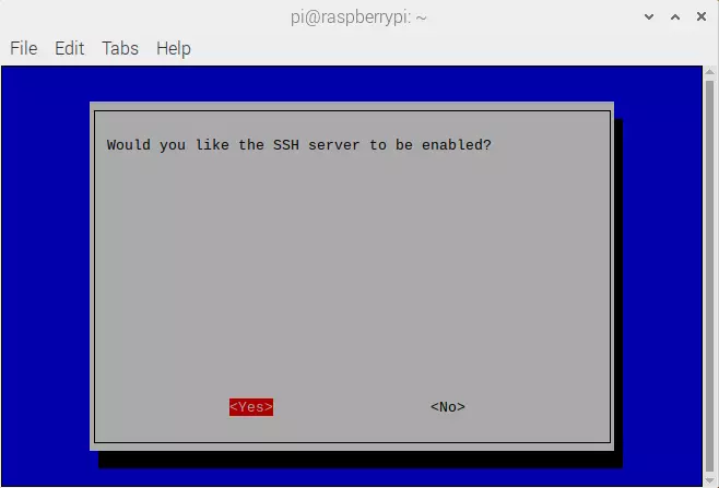 would you like SSH Server to be enabled?