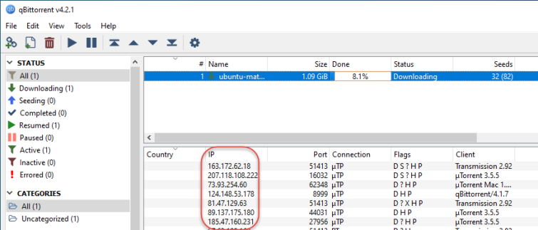 IP addresses shown in torrent client