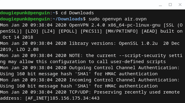install vpn with Linux on chromebook