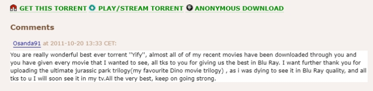 comment on a torrent positive