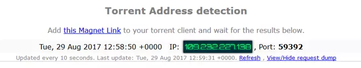ipleak torrent detection