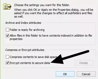 Encrypt contents checkbox