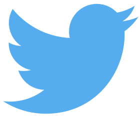 twitter logo 2