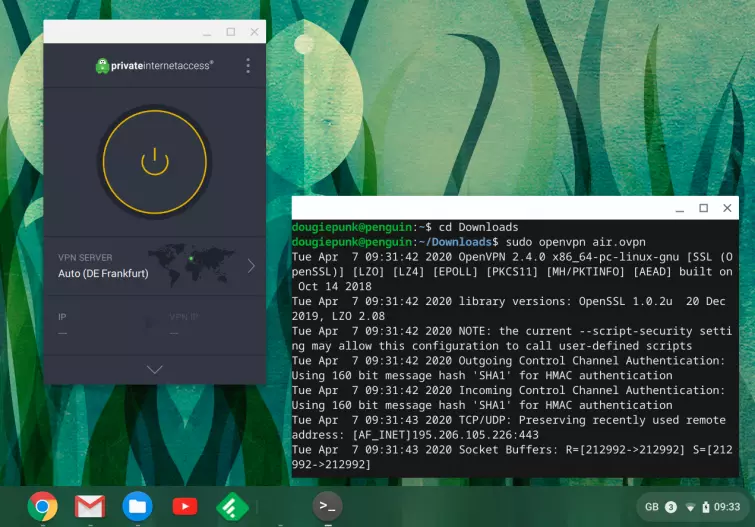 Using a Linux VPN app on chromebook