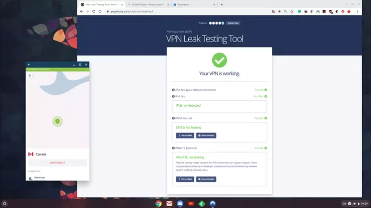 ProPrivacy VPN leak testing tool