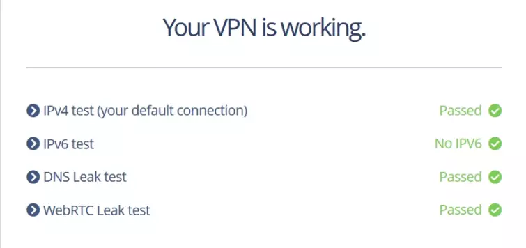 DNS leak testing tool showing Norton passed