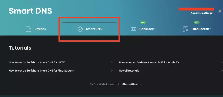 Surfshark Smart DNS