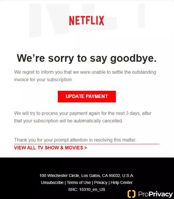netflixscam