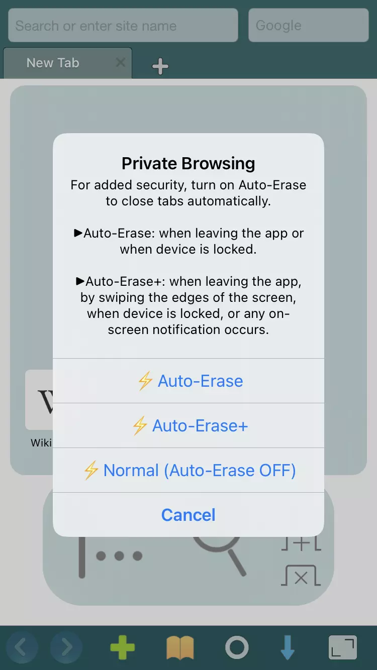 perfect browser private browsing levels auto erase function