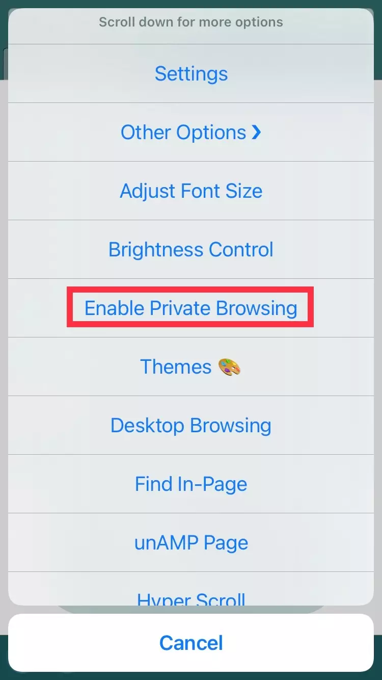 private browsing Enable private browsing