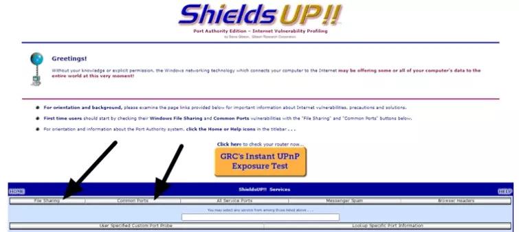 shields up website