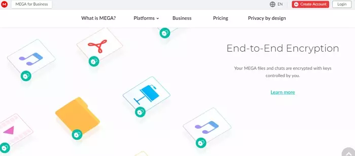 Mega Website
